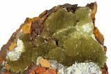 Yellow-Green Austinite Crystals On Limonite - Ojuela Mine, Mexico #183434-1